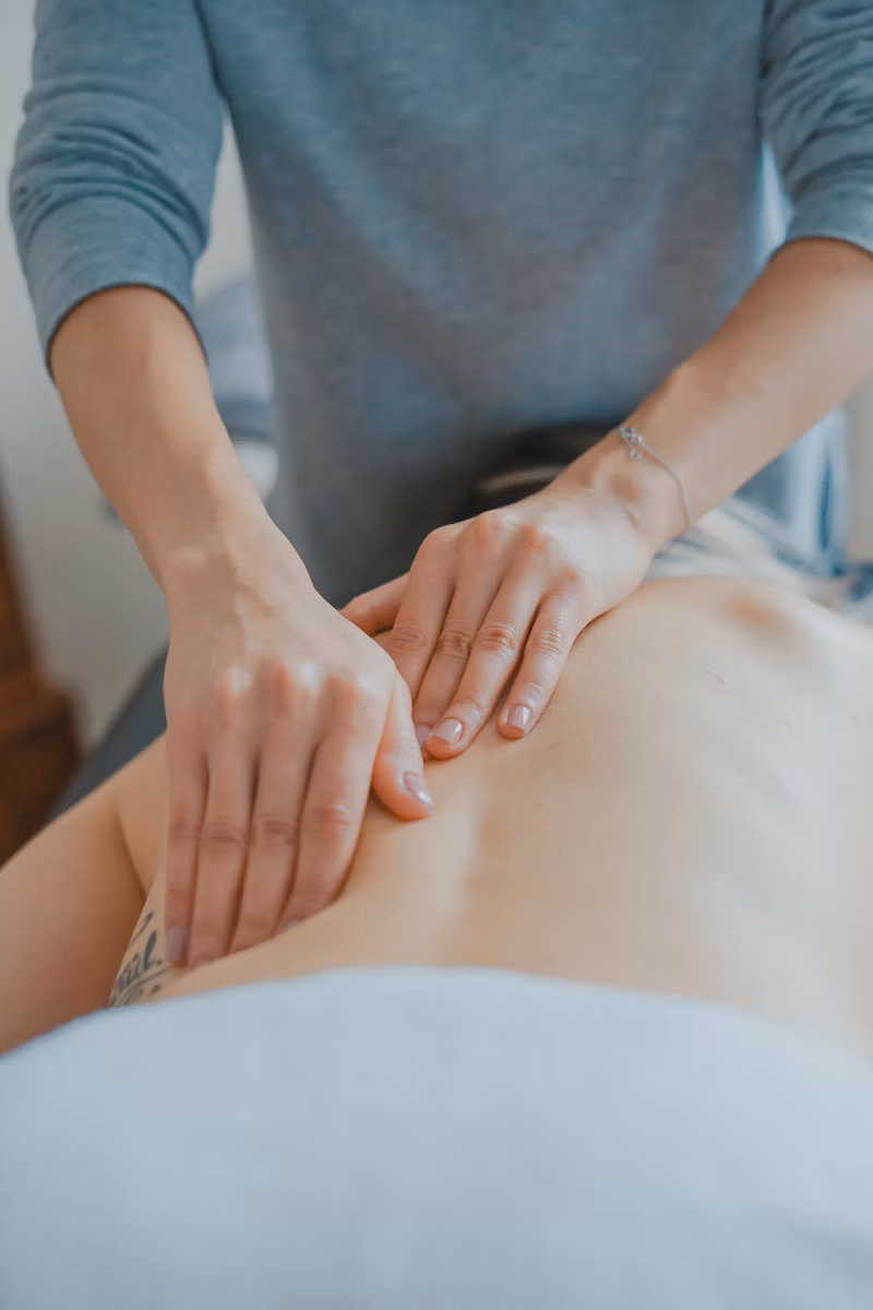 Folhas verdes e botão de flor